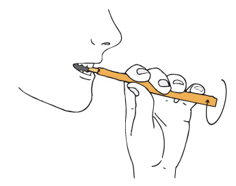 Anwendung des Miswak als Zahnbürste